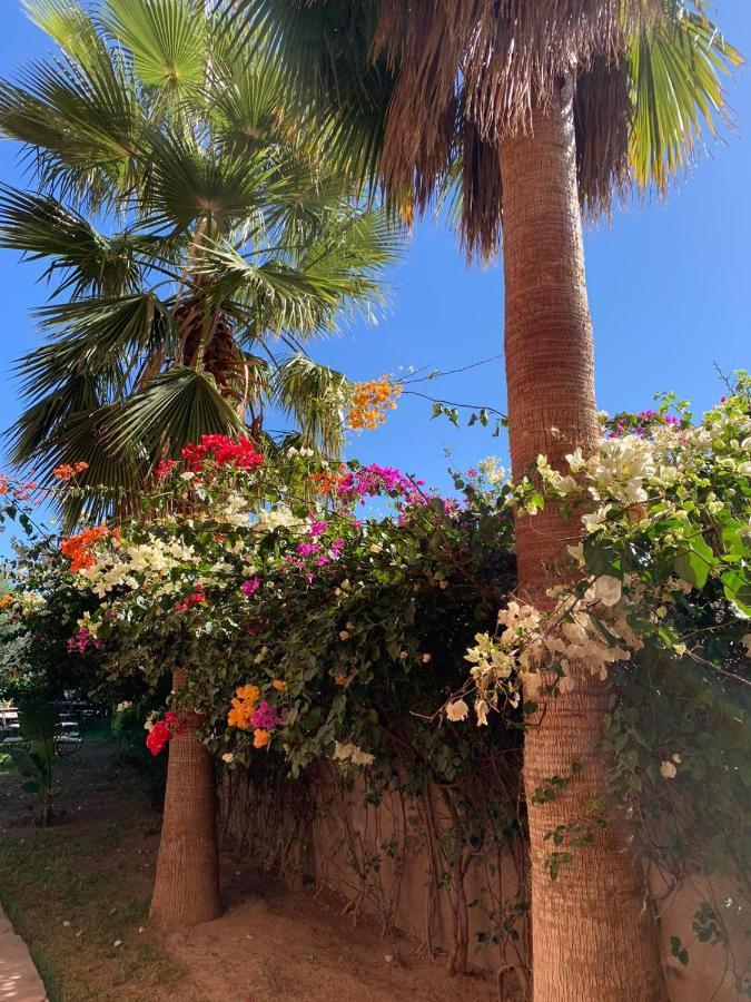Les Terrasses Du Lac Marrakech Lalla Takerkoust Exterior foto